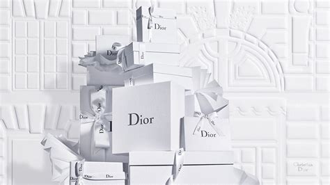 dior game.com|dior hub official website.